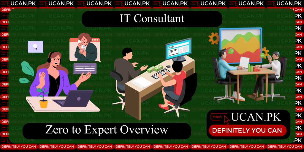 IT Consultant